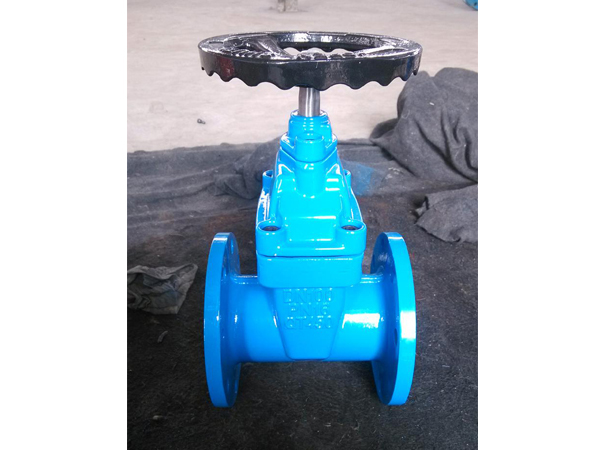 暗(an)杆彈性座封閘閥(fa)