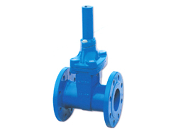 鎖(suǒ)閉彈性座封閘閥(fa)